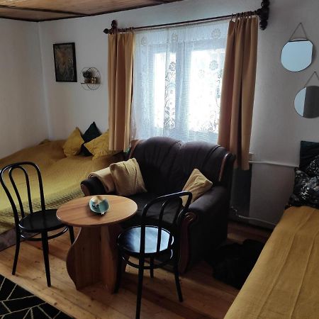 Home Stay Slotwinska Krynica Zdroj Εξωτερικό φωτογραφία