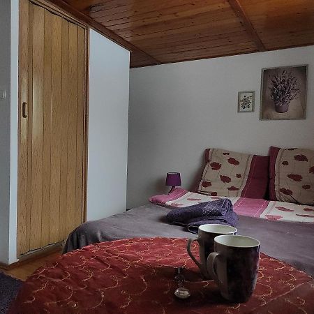 Home Stay Slotwinska Krynica Zdroj Εξωτερικό φωτογραφία