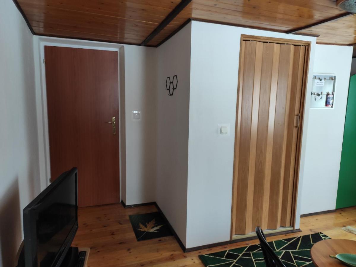 Home Stay Slotwinska Krynica Zdroj Εξωτερικό φωτογραφία